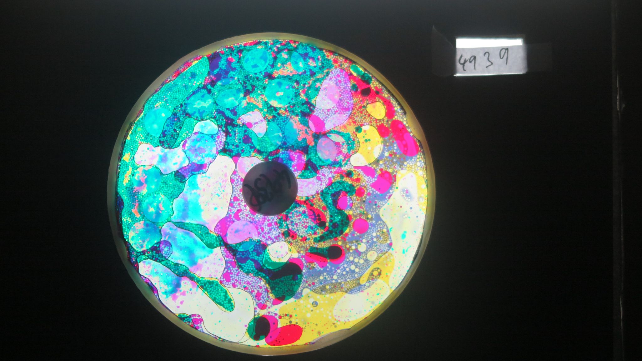 BV4939 bubble vision oil wheel